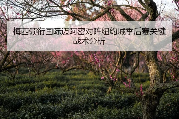 梅西领衔国际迈阿密对阵纽约城季后赛关键战术分析